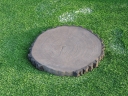 Kamień elewacyjny  Krążek 50 betonowy drewnopodobny - CIEMNY