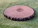 Kamień elewacyjny  Krążek 60 betonowy drewnopodobny - JASNY
